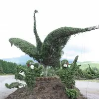 千羽鶴鹿公園の写真・動画_image_279122