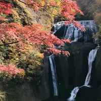 袋田の滝の写真・動画_image_279145
