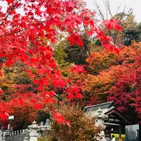 永源寺の写真・動画_image_279147