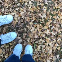 秩父ミューズパークの写真・動画_image_279377
