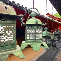 春日大社の写真・動画_image_279385