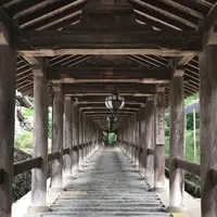 長谷寺の写真・動画_image_279391