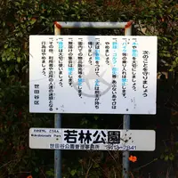 若林公園の写真・動画_image_279782