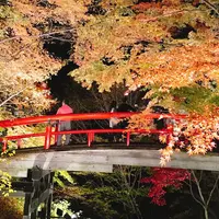 河鹿橋の写真・動画_image_279905