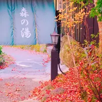 山あいの宿 山みず木の写真・動画_image_279917