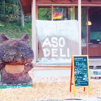 ASODELIの写真・動画_image_280167