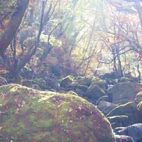 マゼノ渓谷の写真・動画_image_280168