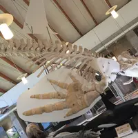 知床国立公園羅臼ビジターセンターの写真・動画_image_280434