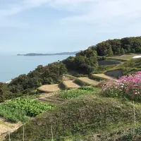 豊島 棚田プロジェクトの写真・動画_image_280567