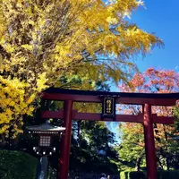 根津神社の写真・動画_image_280675