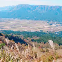 大観峰の写真・動画_image_280950