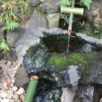 殿ヶ谷戸庭園の写真・動画_image_280990