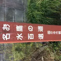 きぬたやの写真・動画_image_280994