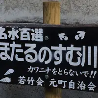 お鷹の道・真姿の池湧水群の写真・動画_image_280997