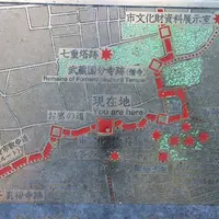 お鷹の道・真姿の池湧水群の写真・動画_image_280998