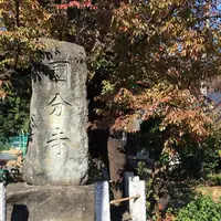 武蔵国分寺跡の写真・動画_image_281010
