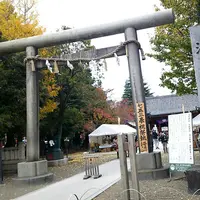 浅草神社（三社さま）の写真・動画_image_281159