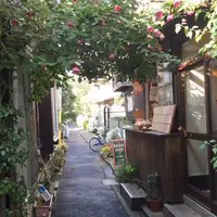 ボンジュールモジョモジョ（Bonjour mojo2）の写真・動画_image_281246