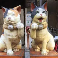 谷中ぎんざ（谷中銀座商店街）の写真・動画_image_281250