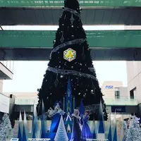 二子玉川ライズ・ショッピングセンターの写真・動画_image_281311