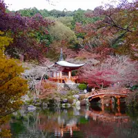 醍醐寺の写真・動画_image_281786