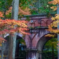 南禅寺の写真・動画_image_281787