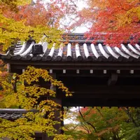 光明寺の写真・動画_image_281788