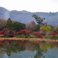 大覚寺の写真・動画_image_281792