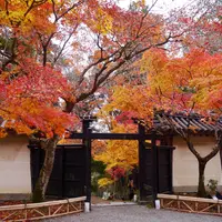 二尊院の写真・動画_image_281797