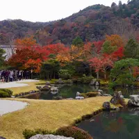 天龍寺の写真・動画_image_281798
