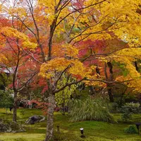 宝厳院の写真・動画_image_281826