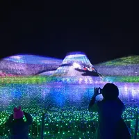 なばなの里の写真・動画_image_281915