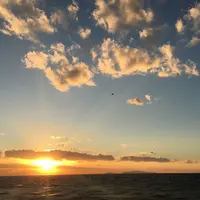 淡路島 クラフトマルシェの写真・動画_image_282384