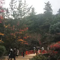 弥山の写真・動画_image_282549