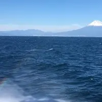 駿河湾フェリー土肥港のりばの写真・動画_image_282555