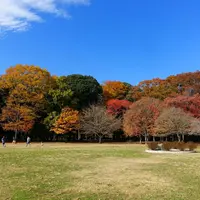 砧公園の写真・動画_image_282630