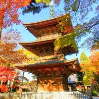 豪徳寺の写真・動画_image_282632