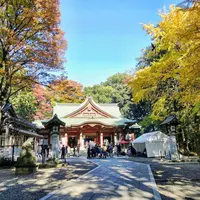 世田谷八幡宮の写真・動画_image_282633