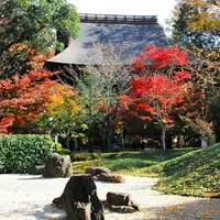 浄真寺の写真・動画_image_282634