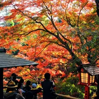 等々力不動尊の写真・動画_image_282635