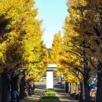 駒沢オリンピック公園の写真・動画_image_282638