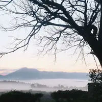 前原の一本桜の写真・動画_image_282841