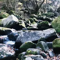 マゼノ渓谷の写真・動画_image_282865