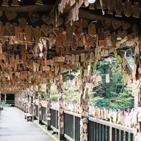 紅葉橋の写真・動画_image_282935