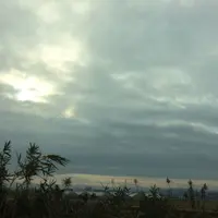 伊賀一之宮 敢国神社の写真・動画_image_283009