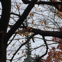 山上の多重塔の写真・動画_image_283193