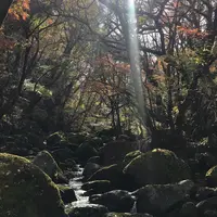 マゼノ渓谷の写真・動画_image_283448