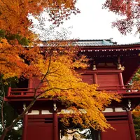 本土寺（あじさい寺）の写真・動画_image_283986
