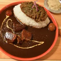 YOUNG（ヤング）の写真・動画_image_284086