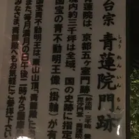 青蓮院門跡の写真・動画_image_284149